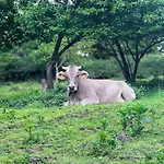 La Betulla Gospodarstwo agroturystyczne Brezzo