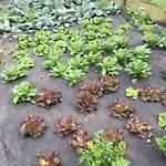 La Betulla Gospodarstwo agroturystyczne Brezzo