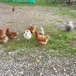 La Betulla Gospodarstwo agroturystyczne