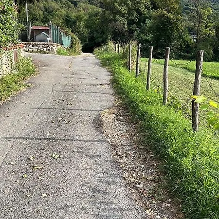 Agriturismo La Betulla Brezzo