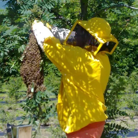 La Betulla Séjour à la ferme