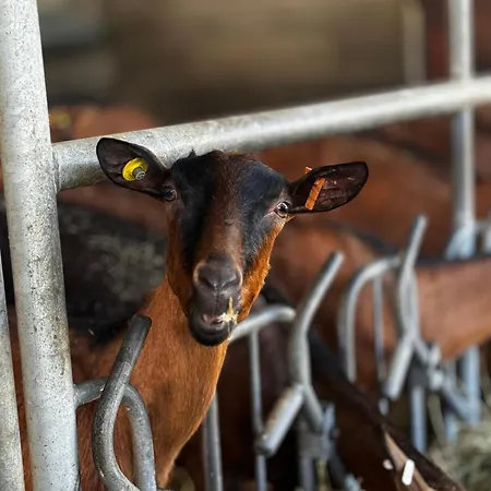 Séjour à la ferme La Betulla