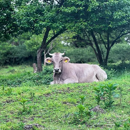 La Betulla Séjour à la ferme Brezzo