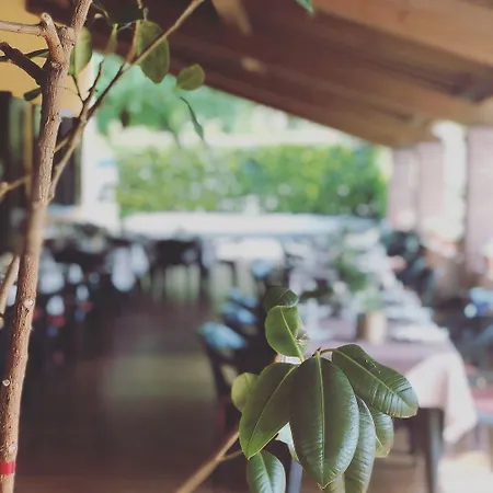 Agriturismo La Betulla * Brezzo