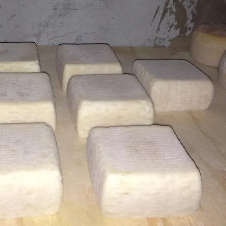Séjour à la ferme La Betulla Brezzo