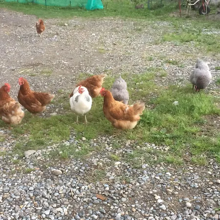 La Betulla Séjour à la ferme