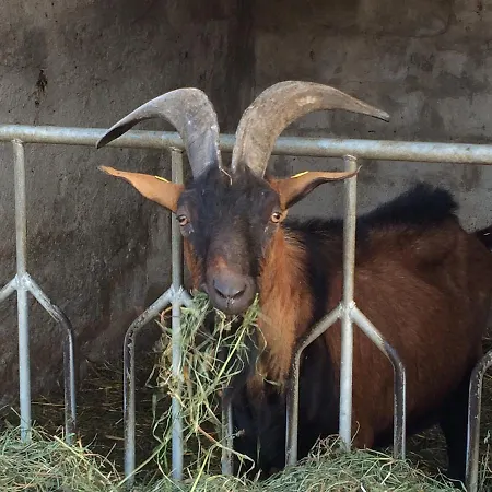 La Betulla Séjour à la ferme