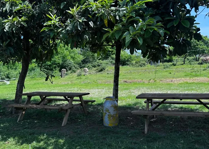 Agroturismo La Betulla Brezzo