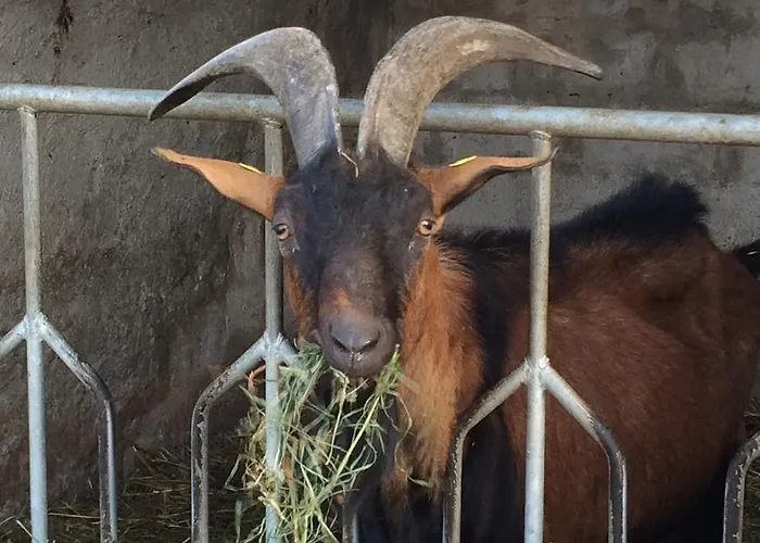 La Betulla Çiftlik konaklama