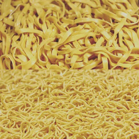 Alloggio per agriturismo La Betulla