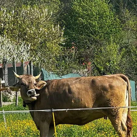 Agriturismo La Betulla *