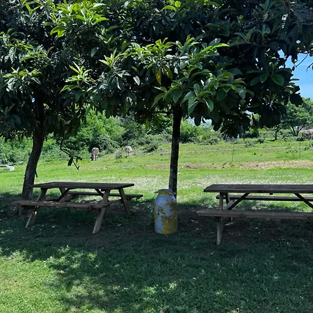 Alloggio per agriturismo La Betulla Brezzo