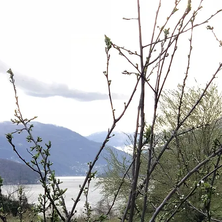 La Betulla Alloggio per agriturismo