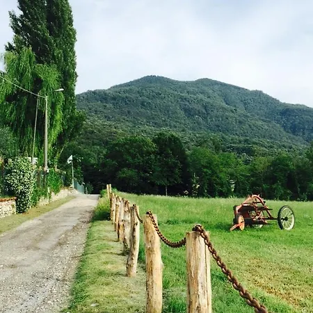 Agriturismo La Betulla Bauernhof