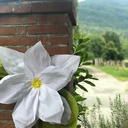 Agriturismo La Betulla *
