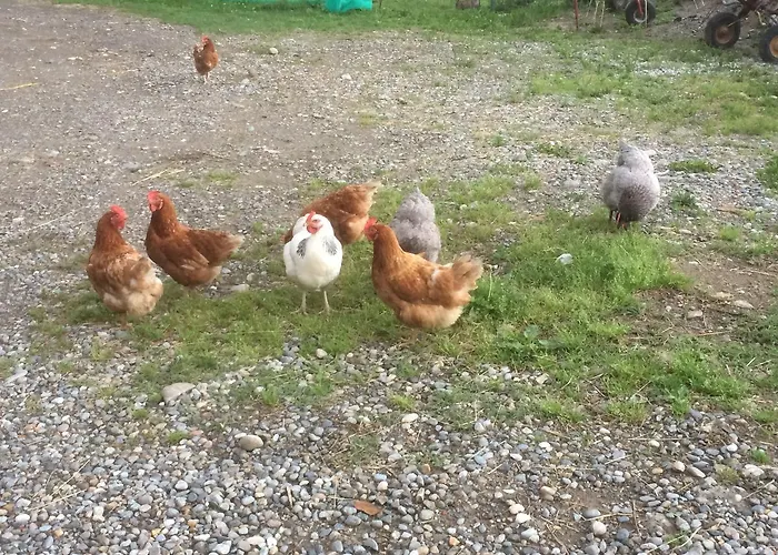 La Betulla 팜스테이